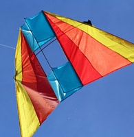 Festive Kites a Newsletter Responsive Web Template