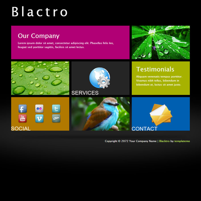 Blactro Template