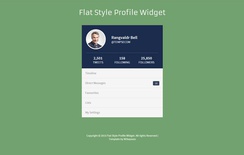 Flat Style Profile Responsive Widget Template