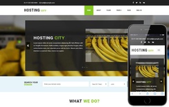 Hosting City a Hosting Category Bootstrap responsive Web Template