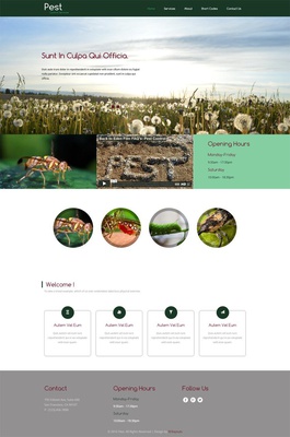 Pest a Animals Category Flat Bootstrap Responsive Web Template