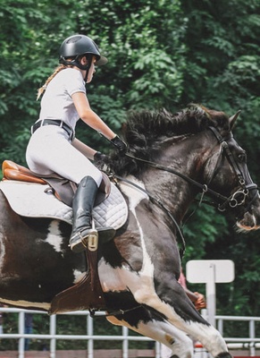 Horse Crew Sports Category Bootstrap Responsive Website Template