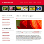 FlowerClusters:  | TEMPLATED