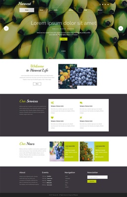 Harvest Life an Agriculture Category Bootstrap Responsive Web Template