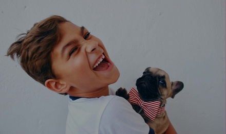 Lovely Pets Animals Category Bootstrap Responsive Web Template