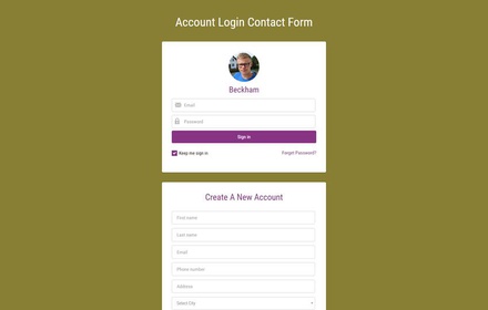 Account Login Contact Form Widget  Responsive Widget Template