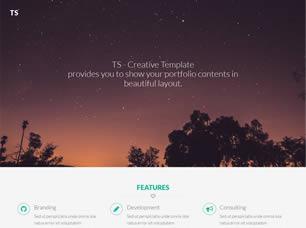 TS Free CSS Template