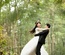 Wedding folio a Flat Wedding Planner Bootstrap Responsive Web Template