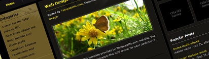 Web Design Template