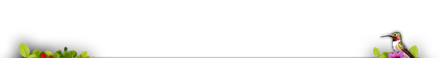 Garden Template