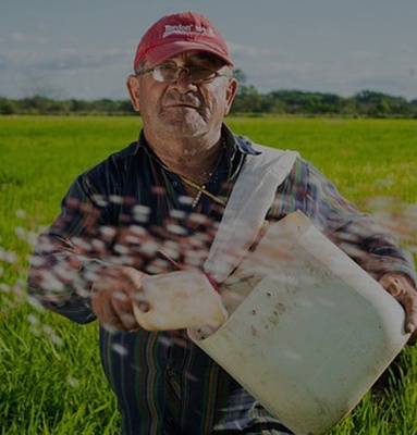 Crop Raising an Agriculture Category Bootstrap Responsive Web Template