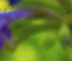 CatMint: CSS Templates | TEMPLATED