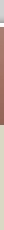 Restaurant Template