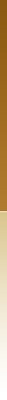 Bird Store Template