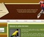 Wooden Blog Template