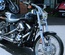 Bikers web and Mobile Template for free