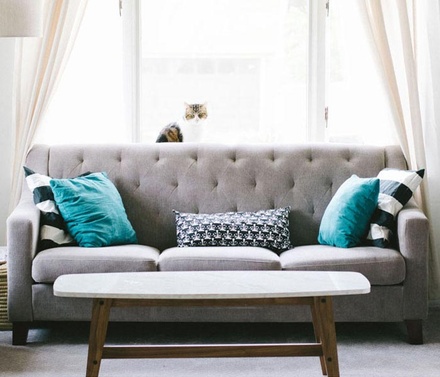 Cosy Couches an Interior Category Bootstrap Responsive Web Template