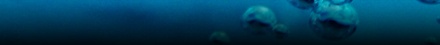 Ice Bubble Template
