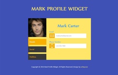 Mark Profile Widget Responsive Template
