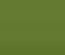 Bird Store Template