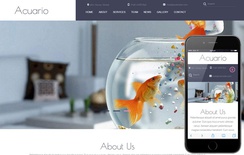 Acuario a Animal Category Flat Bootstrap Responsive web template