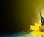 Design Blog Template