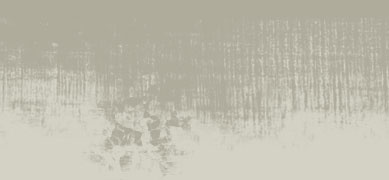 Old Wall Template