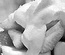 Cupcaked Out:  | TEMPLATED
