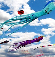 Festive Kites a Newsletter Responsive Web Template