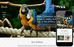 Birds a Animal Category Flat Bootstrap Responsive Web Template