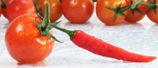 Tomato Template