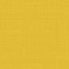 YellowDahlia:  | TEMPLATED