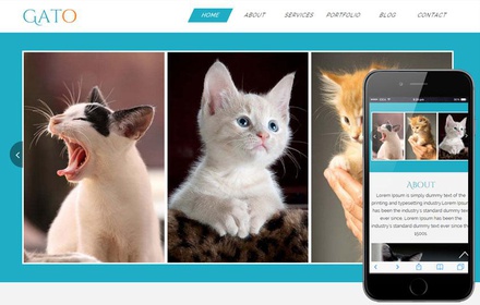 Gato a Animal Category Flat Bootstrap Responsive Web Template