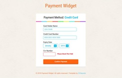 Payment Widget Form Responsive Template