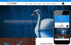 Dazzling Birds an Animal Category Bootstrap Responsive Web Template