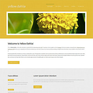 YellowDahlia:  | TEMPLATED