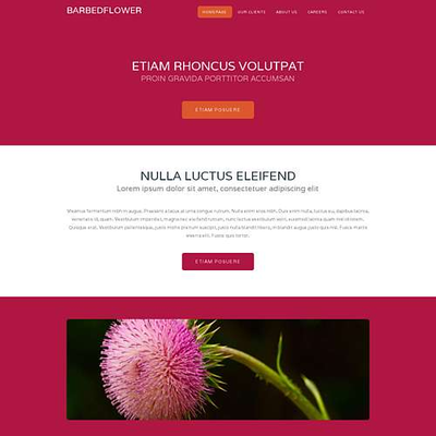 BarbedFlower: CSS Templates | TEMPLATED