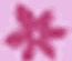 Flower Shop Template