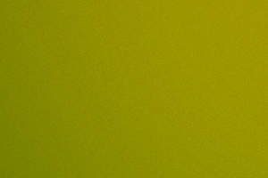 Polychromasia:  | TEMPLATED