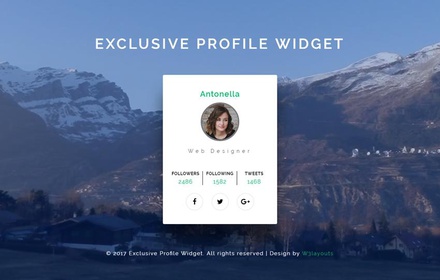 Exclusive Profile Widget a Responsive Widget Template