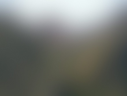 Photon