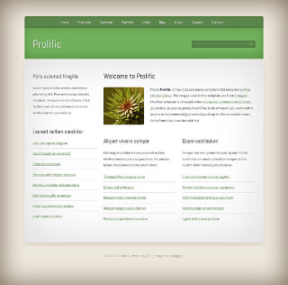 Prolific:  | TEMPLATED