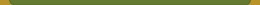 Bird Store Template