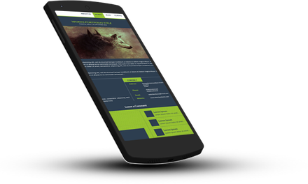 ValstrikeZ a Corporate portfolio Flat Bootstrap Responsive web template
