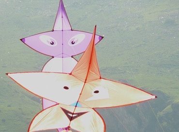 Festive Kites a Newsletter Responsive Web Template