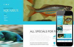 Aquarius a Animal Category Flat Bootstrap Responsive web template