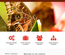 Mariposa: CSS Templates | TEMPLATED