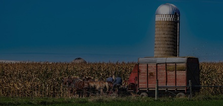 Crop Raising an Agriculture Category Bootstrap Responsive Web Template