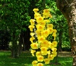 Floral Template