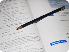 Education Template